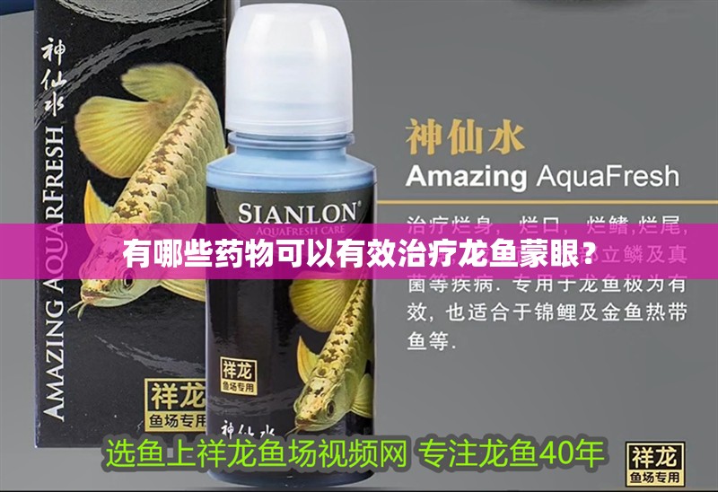 有哪些藥物可以有效治療龍魚蒙眼？