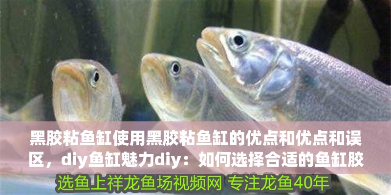 黑膠粘魚缸使用黑膠粘魚缸的優點和優點和誤區，diy魚缸魅力diy：如何選擇合適的魚缸膠
