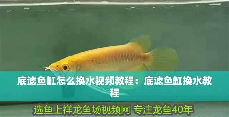 底濾魚缸怎么換水視頻教程：底濾魚缸換水教程