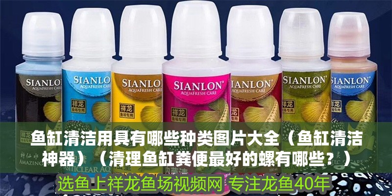 魚缸清潔用具有哪些種類圖片大全（魚缸清潔神器）（清理魚缸糞便最好的螺有哪些？）