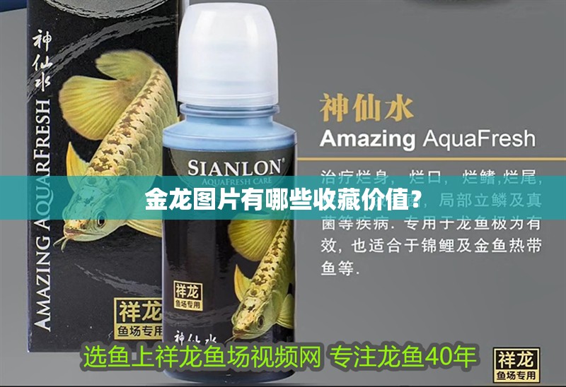 金龍圖片有哪些收藏價值？ 金龍圖片有哪些收藏價值？ 龍魚論壇