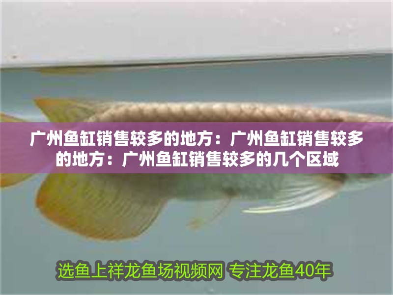 廣州魚缸銷售較多的地方：廣州魚缸銷售較多的地方：廣州魚缸銷售較多的幾個(gè)區(qū)域