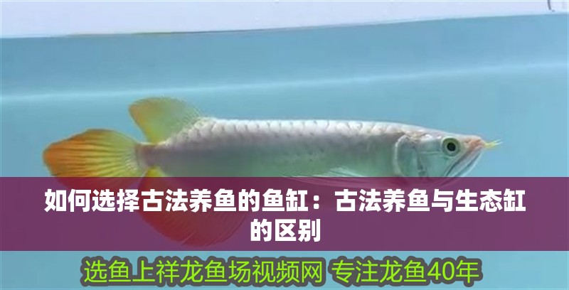 如何選擇古法養(yǎng)魚的魚缸：古法養(yǎng)魚與生態(tài)缸的區(qū)別 如何選擇古法養(yǎng)魚的魚缸：古法養(yǎng)魚與生態(tài)缸的區(qū)別 魚缸百科