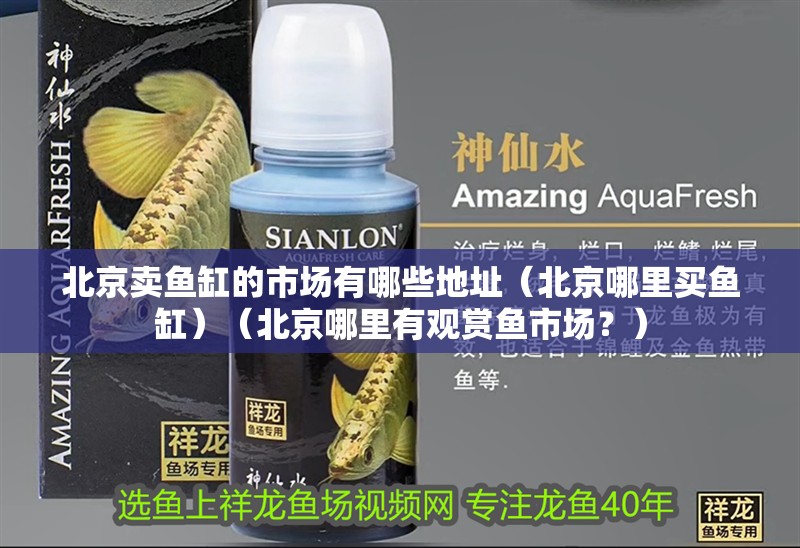 北京賣魚缸的市場有哪些地址（北京哪里買魚缸）（北京哪里有觀賞魚市場？） 北京賣魚缸的市場有哪些地址（北京哪里買魚缸）（北京哪里有觀賞魚市場？） 魚缸百科