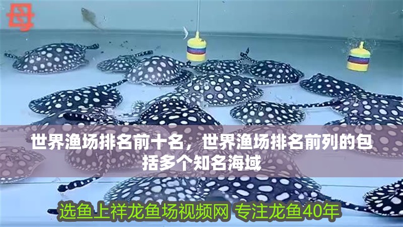 世界漁場排名前十名，世界漁場排名前列的包括多個知名海域