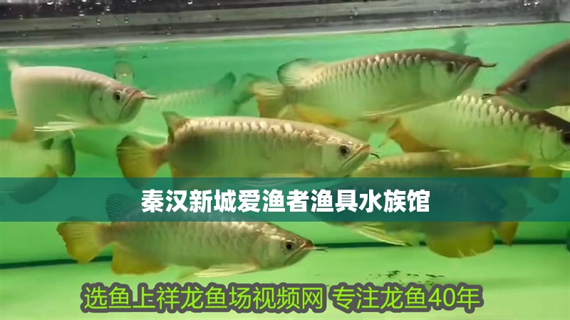 秦漢新城愛漁者漁具水族館