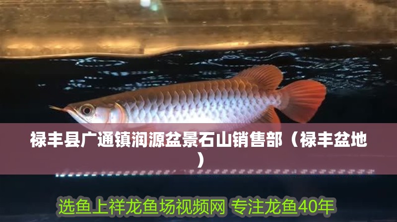 祿豐縣廣通鎮(zhèn)潤源盆景石山銷售部（祿豐盆地）