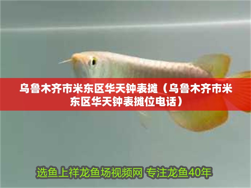 魚缸用增氧泵價(jià)格是多少:魚缸增氧機(jī)-xtrac增氧機(jī)-xtrac增氧機(jī) 烏魯木齊市米東區(qū)華天鐘表攤(烏魯木齊市米東區(qū)華天鐘表攤位電話) 全國水族館企業(yè)名錄 烏魯木齊市米東區(qū)華天鐘表攤(烏魯木齊市米東區(qū)華天鐘表攤位電話) 烏魯木齊市米東區(qū)華天鐘表攤(烏魯木齊市米東區(qū)華天鐘表攤位電話) 全國水族館企業(yè)名錄