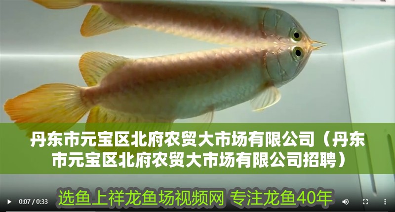 丹東市元寶區(qū)北府農(nóng)貿(mào)大市場有限公司（丹東市元寶區(qū)北府農(nóng)貿(mào)大市場有限公司招聘）