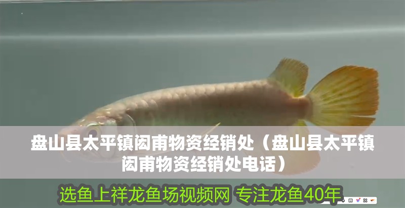 盤山縣太平鎮閎甫物資經銷處（盤山縣太平鎮閎甫物資經銷處電話）