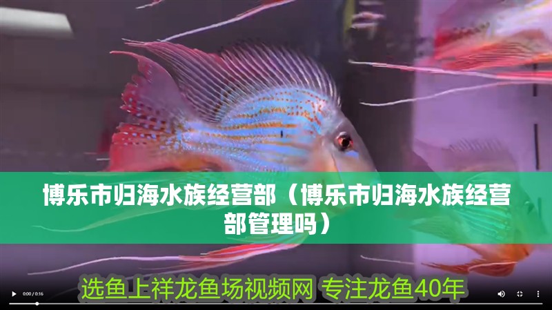 博樂市歸海水族經營部（博樂市歸海水族經營部管理嗎）