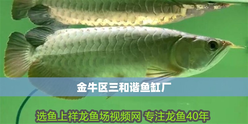 金牛區三和諧魚缸廠