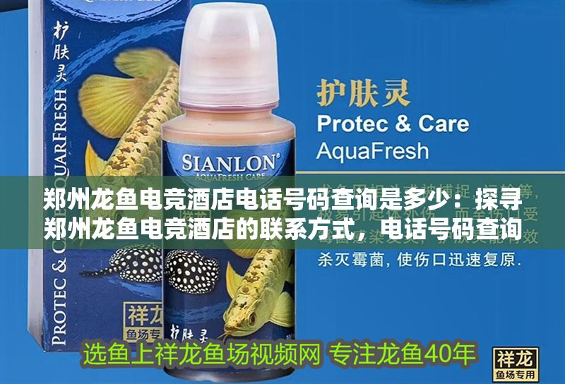 鄭州龍魚電競酒店電話號碼查詢是多少：探尋鄭州龍魚電競酒店的聯系方式，電話號碼查詢指南