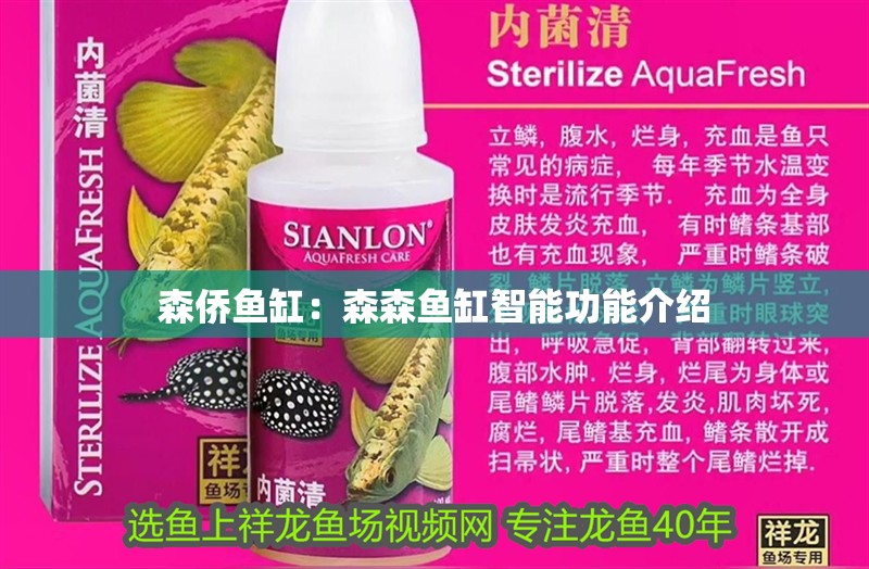 森僑魚缸：森森魚缸智能功能介紹