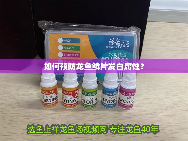 如何預防龍魚鱗片發(fā)白腐蝕？