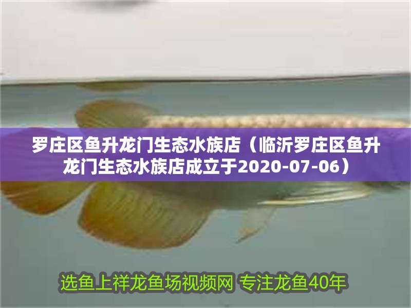羅莊區(qū)魚升龍門生態(tài)水族店（臨沂羅莊區(qū)魚升龍門生態(tài)水族店成立于2020-07-06）