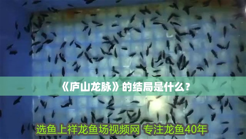 《廬山龍脈》的結局是什么？