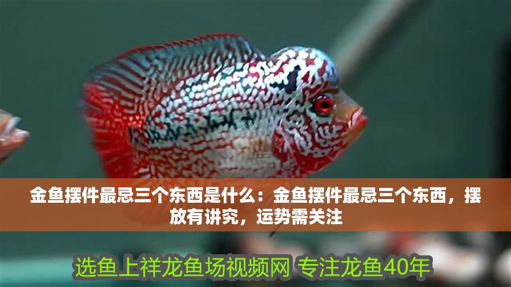 金魚擺件最忌三個東西是什么：金魚擺件最忌三個東西，擺放有講究，運勢需關(guān)注