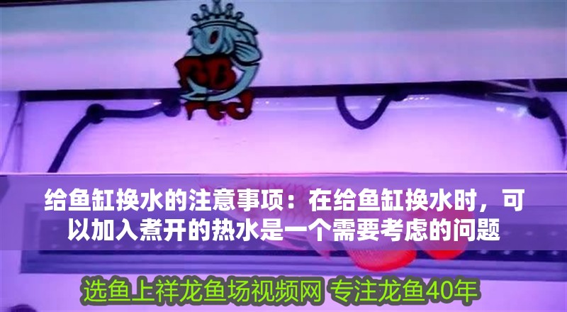 給魚(yú)缸換水的注意事項(xiàng)：在給魚(yú)缸換水時(shí)，可以加入煮開(kāi)的熱水是一個(gè)需要考慮的問(wèn)題