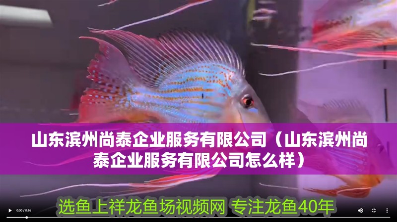 山東濱州尚泰企業服務有限公司（山東濱州尚泰企業服務有限公司怎么樣）