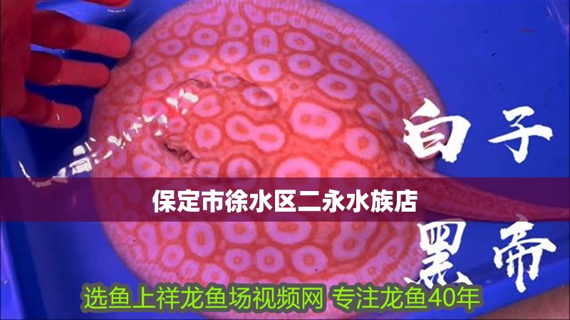 <strong><mark>保定</mark></strong>市徐水區二永水族店