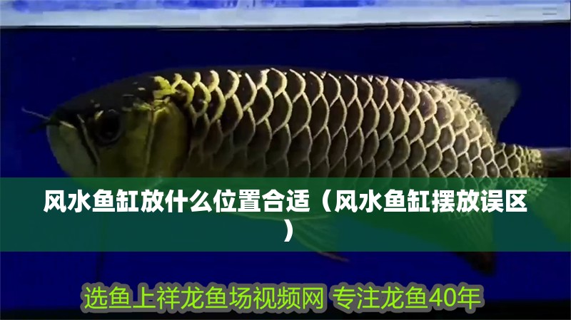 風水魚缸放什么位置合適（風水魚缸擺放誤區）