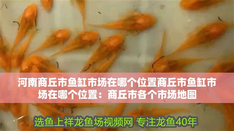 河南商丘市魚缸市場在哪個位置商丘市魚缸市場在哪個位置：商丘市各個市場地圖 河南商丘市魚缸市場在哪個位置商丘市魚缸市場在哪個位置：商丘市各個市場地圖 魚缸百科