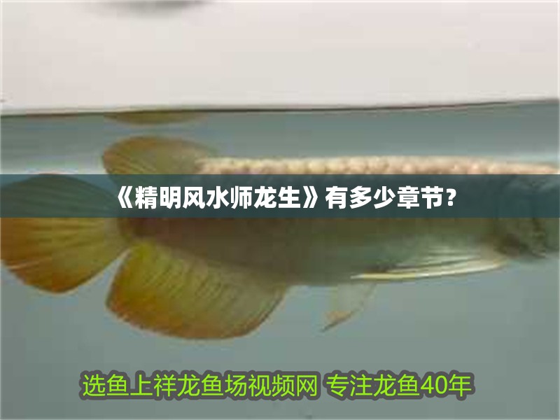 《精明風(fēng)水師龍生》有多少章節(jié)？