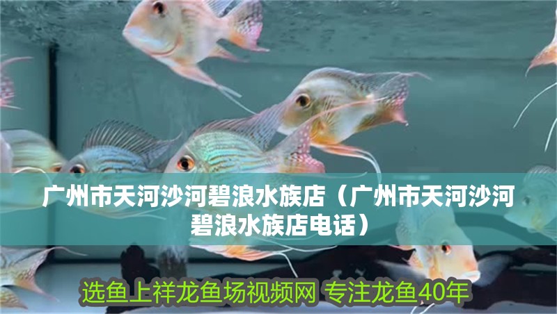 廣州市天河沙河碧浪水族店（廣州市天河沙河碧浪水族店電話）