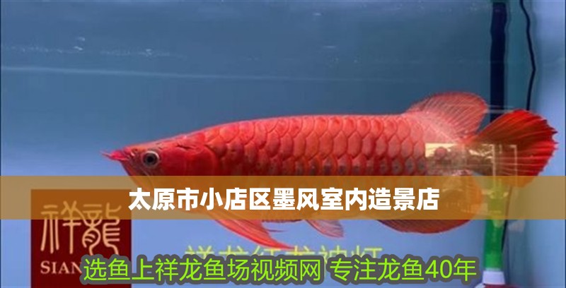 太原市小店區墨風室內造景店 太原市小店區墨風室內造景店 全國水族館企業名錄
