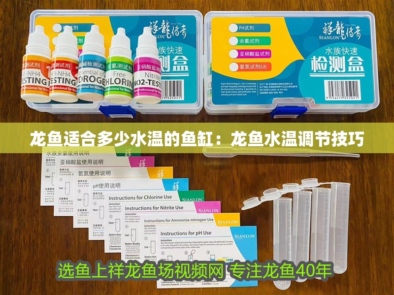 龍魚適合多少水溫的魚缸：龍魚水溫調(diào)節(jié)技巧