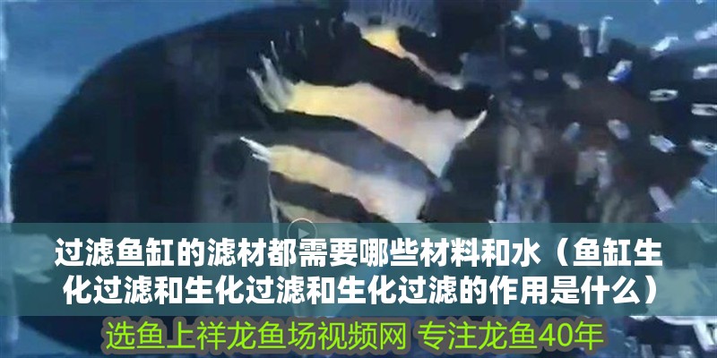 過濾魚缸的濾材都需要哪些材料和水（魚缸生化過濾和生化過濾和生化過濾的作用是什么） 過濾魚缸的濾材都需要哪些材料和水（魚缸生化過濾和生化過濾和生化過濾的作用是什么） 魚缸百科