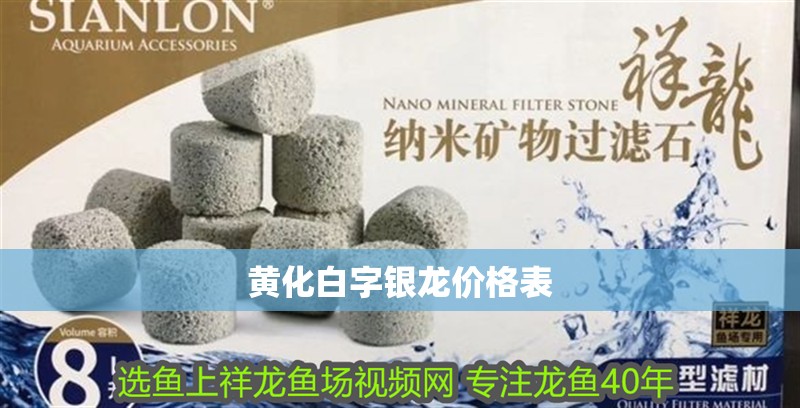 黃化白字銀龍價格表