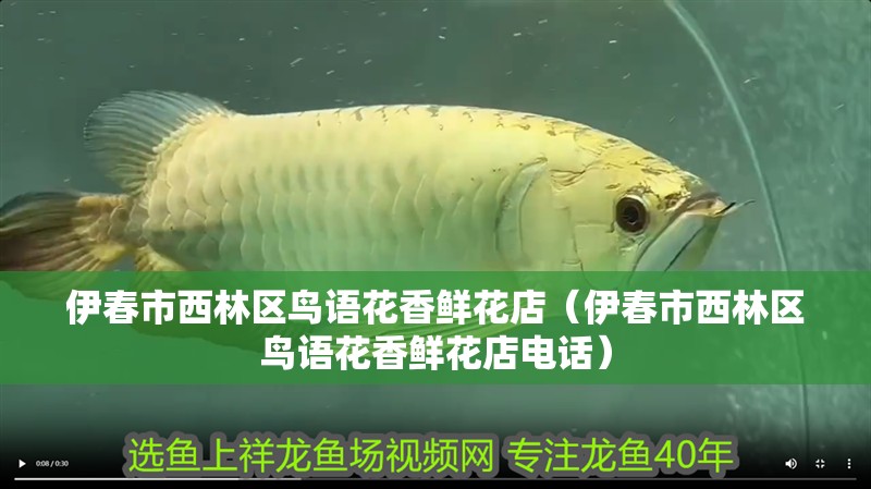 伊春市西林區鳥語花香鮮花店（伊春市西林區鳥語花香鮮花店電話） 伊春市西林區鳥語花香鮮花店（伊春市西林區鳥語花香鮮花店電話） 全國水族館企業名錄