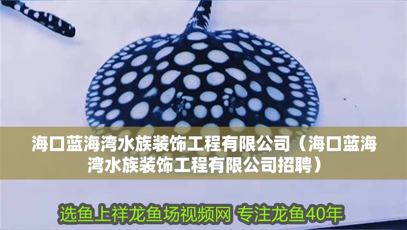 ?？谒{海灣水族裝飾工程有限公司（海口藍海灣水族裝飾工程有限公司招聘）