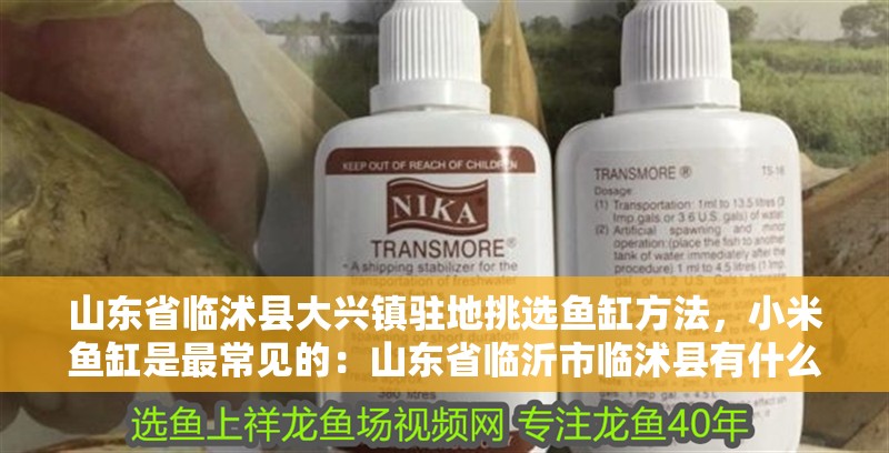 山東省臨沭縣大興鎮駐地挑選魚缸方法，小米魚缸是最常見的：山東省臨沂市臨沭縣有什么好的魚缸推薦？