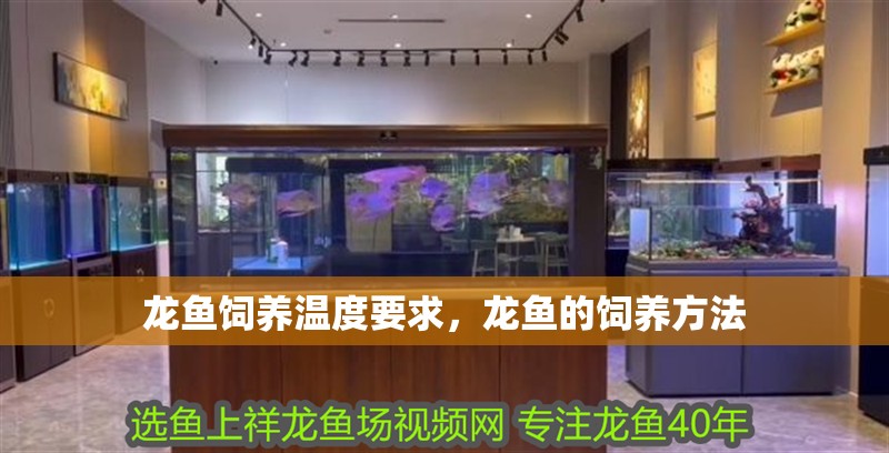 龍魚飼養溫度要求，龍魚的飼養方法 龍魚飼養溫度要求，龍魚的飼養方法 龍魚百科