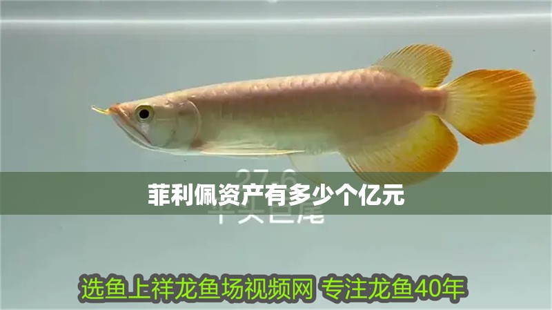 菲利佩資產有多少個億元