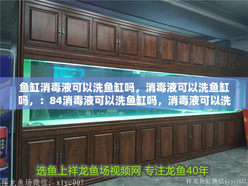 魚缸消毒液可以洗魚缸嗎，消毒液可以洗魚缸嗎，：84消毒液可以洗魚缸嗎，消毒液可以洗魚缸嗎，