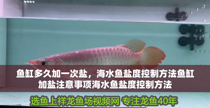 魚缸多久加一次鹽，海水魚鹽度控制方法魚缸加鹽注意事項海水魚鹽度控制方法