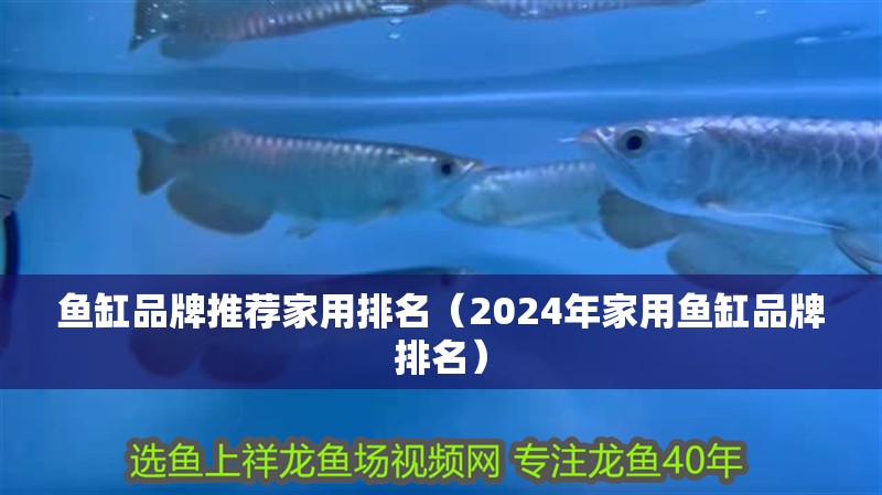 魚缸品牌推薦家用排名（2024年家用魚缸品牌排名）