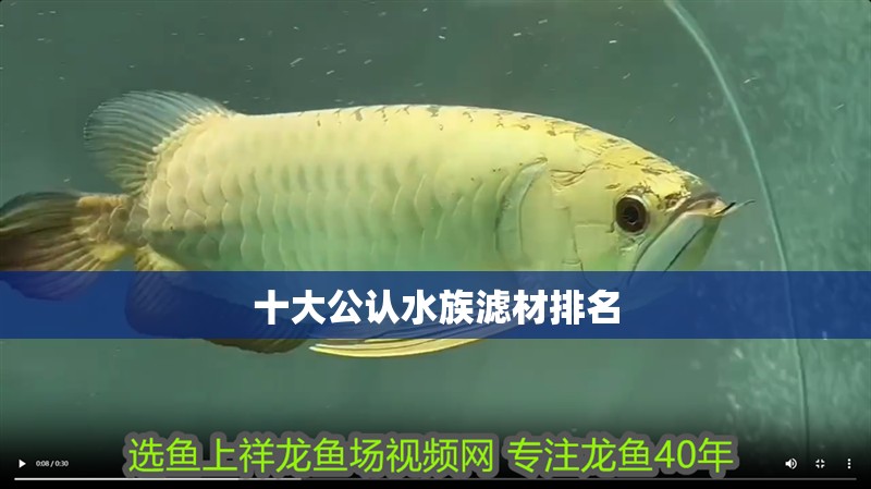 虎魚天天黑來點赤瞳黃金 十大公認水族濾材排名 龍魚論壇 十大公認水族濾材排名 十大公認水族濾材排名 龍魚論壇