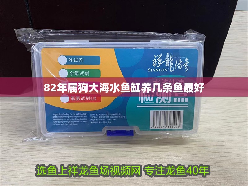 82年屬狗大海水魚缸養(yǎng)幾條魚最好