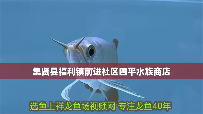 集賢縣福利鎮(zhèn)前進(jìn)社區(qū)四平水族商店