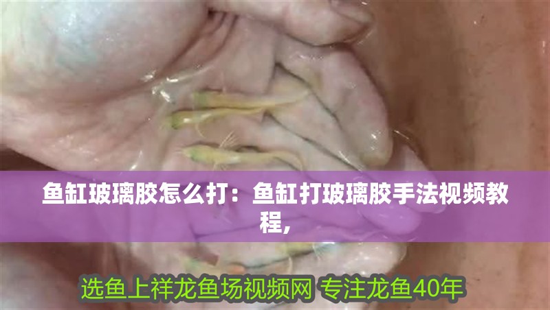 魚缸玻璃膠怎么打：魚缸打玻璃膠手法視頻教程,