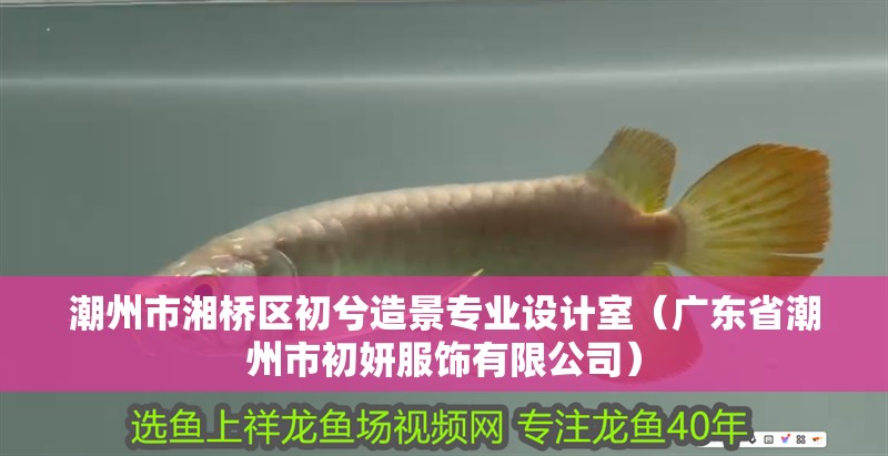 <strong><mark>潮州</mark></strong>市湘橋區(qū)初兮造景專業(yè)設(shè)計(jì)室（廣東省<strong><mark>潮州</mark></strong>市初妍服飾有限公司）