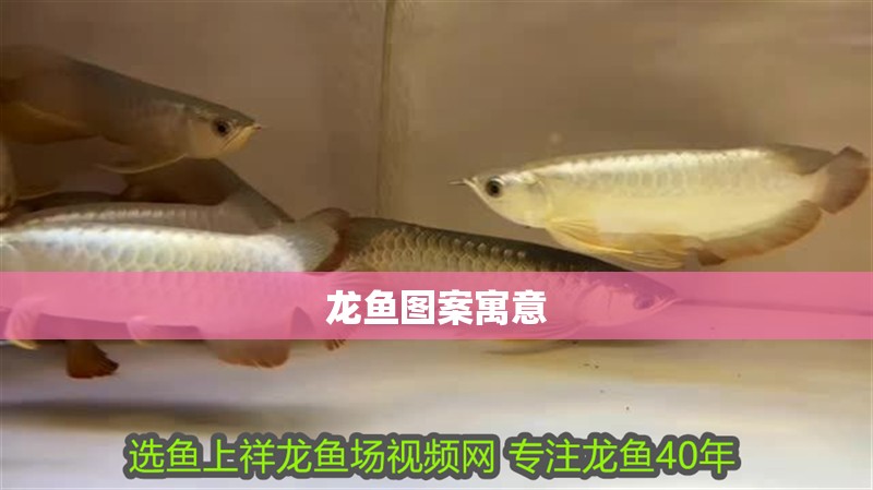 龍魚圖案寓意