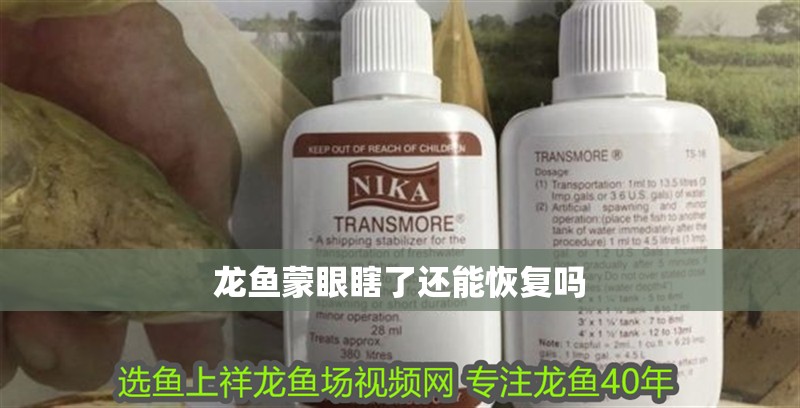 龍魚蒙眼瞎了還能恢復(fù)嗎