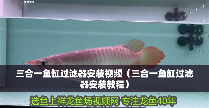 三合一魚缸過濾器安裝視頻（三合一魚缸過濾器安裝教程） 三合一魚缸過濾器安裝視頻（三合一魚缸過濾器安裝教程） 魚缸百科