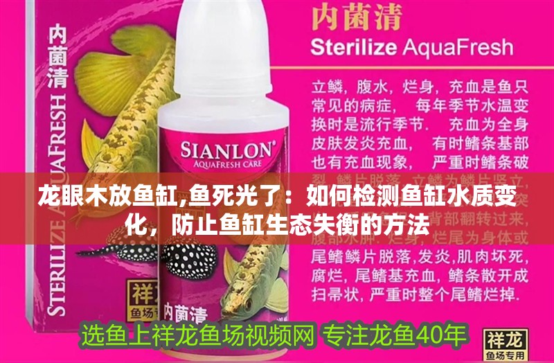 龍眼木放魚缸,魚死光了：如何檢測魚缸水質(zhì)變化，防止魚缸生態(tài)失衡的方法